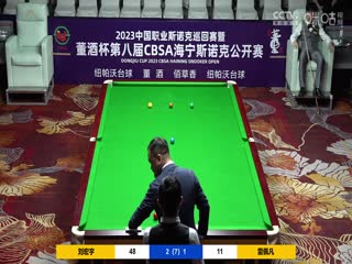 斯诺克 刘宏宇4-2雷佩凡 20230517（李照）