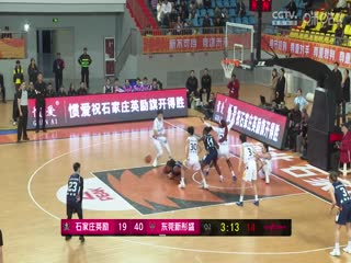 WCBA常规赛A组 石家庄英励VS东莞新彤盛 20241116